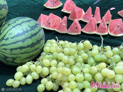 山东日照泰安吃瓜,美食之旅尽享丰收盛宴