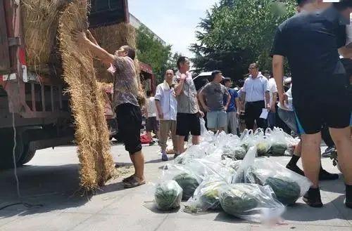 吃瓜校园生活,揭秘那些鲜为人知的校园生活趣事