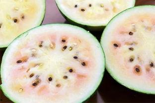 吃瓜群众的瓜是西瓜还是瓜子