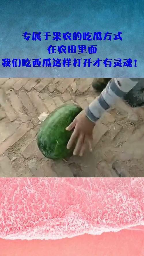 果农吃瓜搞笑,欢乐农事乐翻天