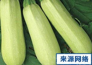 番瓜在线吃瓜,畅享吃瓜盛宴，揭秘娱乐圈幕后故事