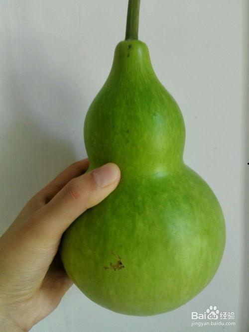 葫芦瓜应该怎样吃,解锁健康美味新体验