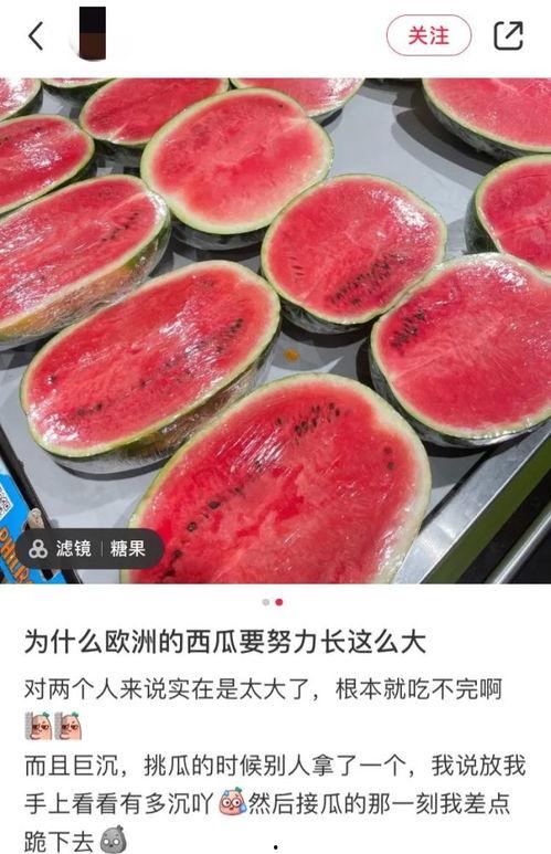 吃瓜国外吃人,揭秘国际社会中的“人生百态”