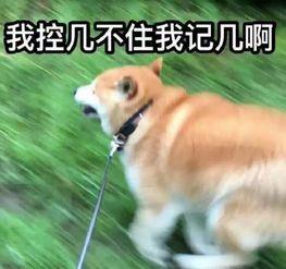 吃瓜后全班听我心声,全班共听心声，共鸣共鸣再共鸣