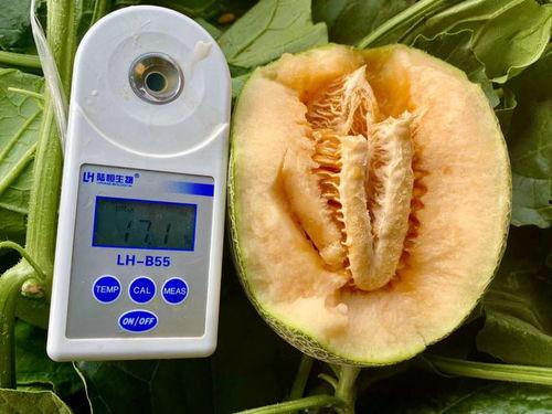 今日吃瓜精选合集,盘点娱乐圈最新热点事件