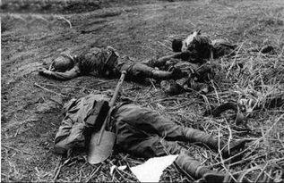 日军在瓜岛吃树皮,瓜岛日军食树皮求生记