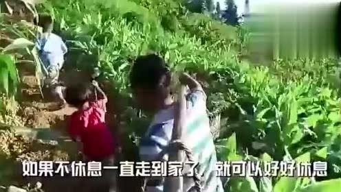 湖州91吃瓜视频,揭秘网络热点背后的真相