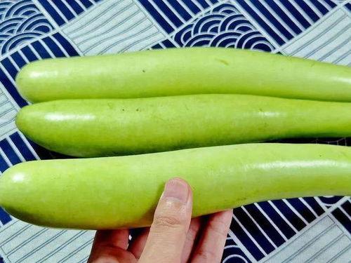 瓠子瓜去皮吃吗,美味与健康的完美结合