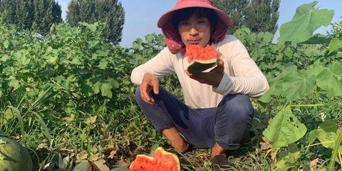 平谷吃瓜视频,揭秘乡村生活趣味瞬间