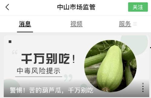 怎么吃毒瓜,如何安全享用有毒美味