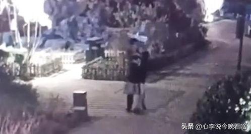 吃瓜视频贸易街,揭秘网红经济背后的秘密