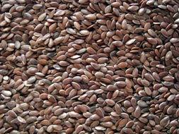 吃瓜omega岑先生