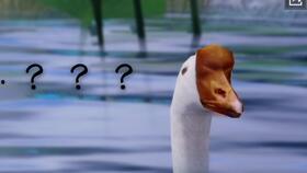 梦崽吃瓜,揭秘娱乐圈幕后故事