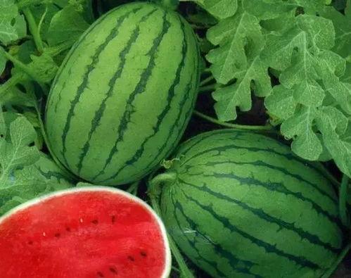 大美吃的瓜,揭秘娱乐圈幕后故事