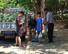 拦车吃瓜群众,揭秘街头现象背后的社会心理