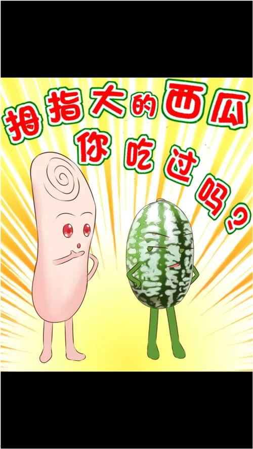 小美吃大瓜,揭秘娱乐圈的甜蜜与苦涩