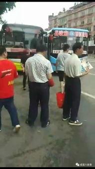 吃瓜群众亲吻视频