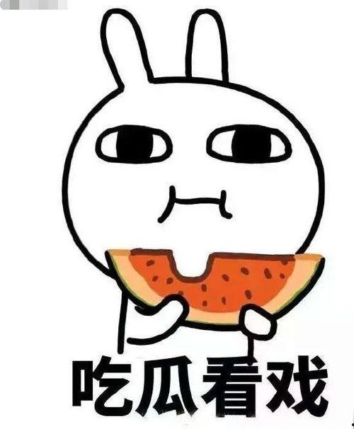 吃瓜宗教,一场舌尖上的信仰之旅