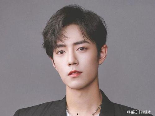 肖战吃瓜227,揭秘227事件背后的真相与影响