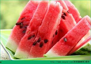 孕期可以吃密瓜吗,营养健康两不误