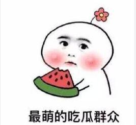 吃瓜的群众感言,揭秘娱乐圈幕后真相