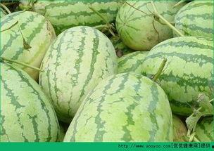 晨晨妈妈吃瓜,揭秘娱乐圈幕后故事