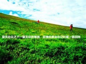 吃瓜爆料呼伦贝尔,揭秘草原上的“吃瓜”风云