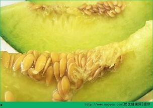 宝宝久咳可以吃哈密瓜吗,天然食疗新选择