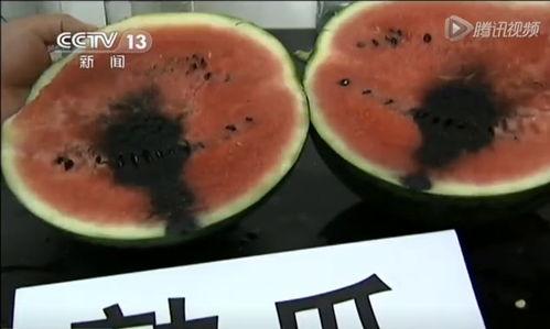 玻璃上吃瓜视频,揭秘网络短视频的趣味与争议