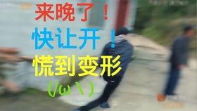 群众吃瓜小剧场,揭秘娱乐圈幕后风云