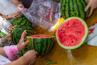 水里吃瓜视频,一场别开生面的水下美食之旅
