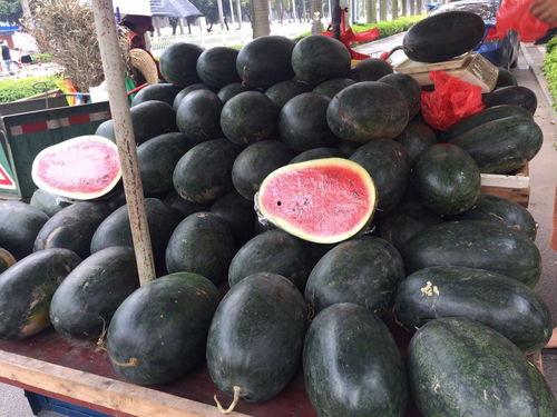 玉林市吃瓜,瓜果飘香，美食盛宴