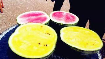 海宁吃瓜爆料,揭秘娱乐圈背后的惊人真相