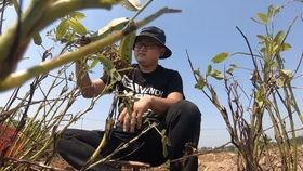 农村小伙买瓜吃,体验田园生活的甜蜜滋味