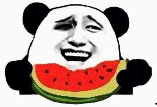 南宁吃瓜群众免费吃瓜,免费吃瓜活动引全民热议