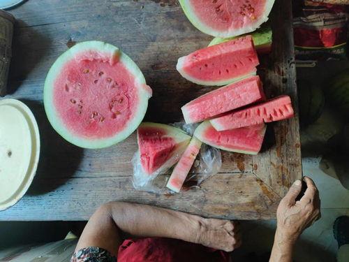 没有瓜吃的图片