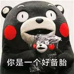 吃瓜观众熊猫人视频