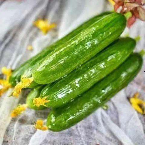 啥子瓜当水果吃,揭秘“啥子瓜”的独特水果风味