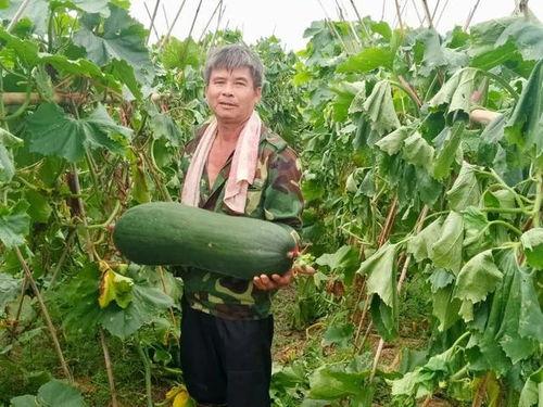 网上最火爆吃瓜资讯