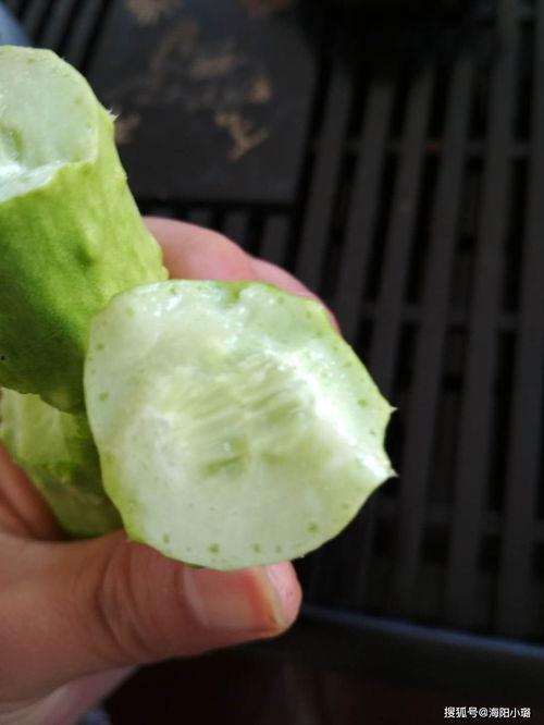 吃白玉瓜的禁忌