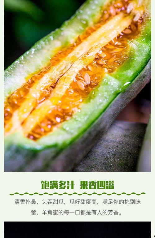 羊角瓜怀孕可以吃吗